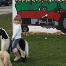 Pumpkin Patch Richardsons in Dunnville